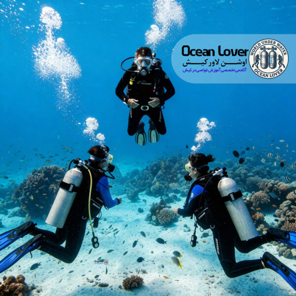 درباره ما Ocean-Lover