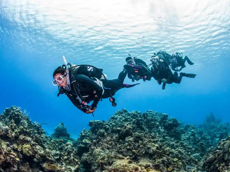 آموزش نجات غواصان سیمس CMAS